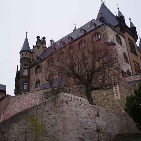 Ferienwohnung Schuur - Harz 哈瑟尔费尔德 外观 照片