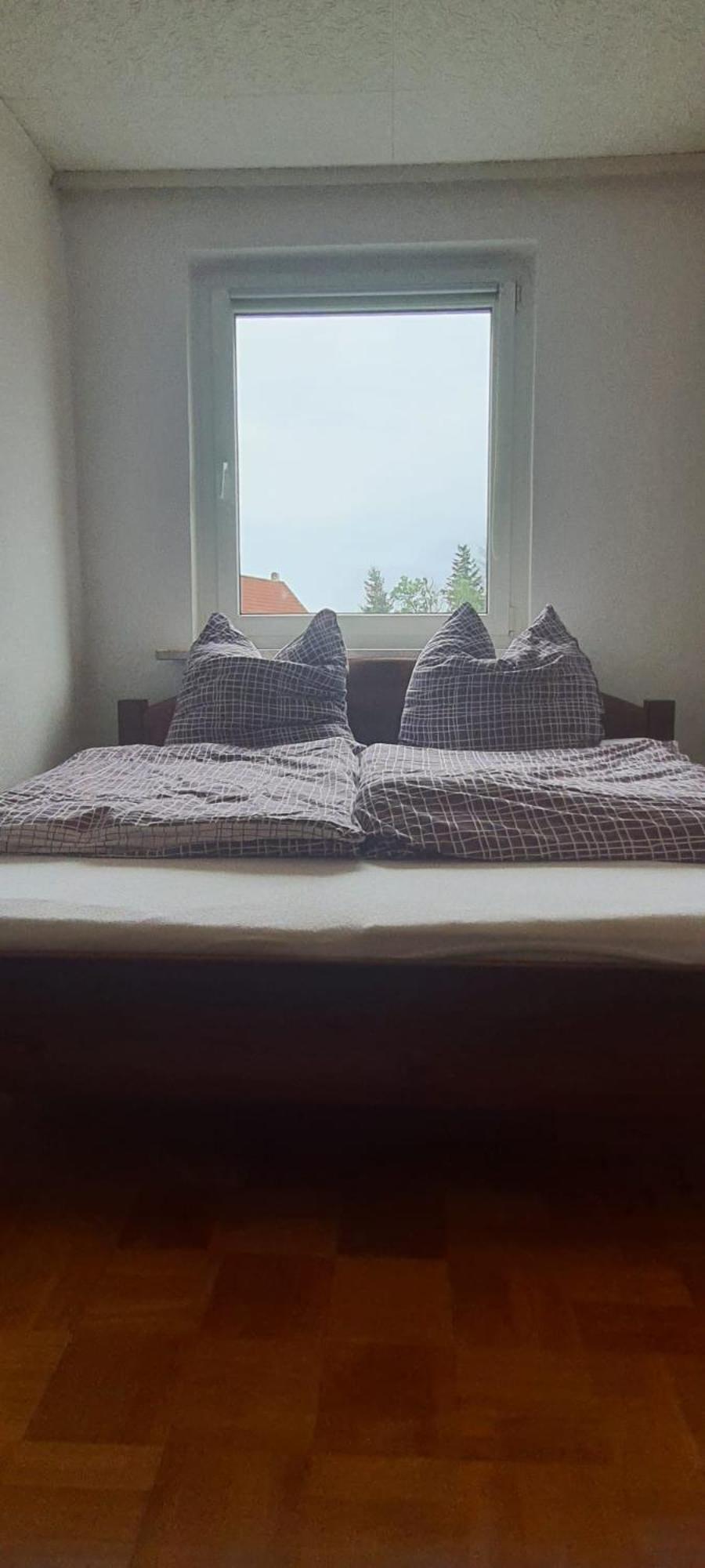 Ferienwohnung Schuur - Harz 哈瑟尔费尔德 外观 照片